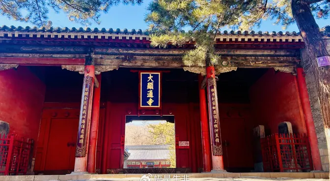 五台山网络信号好吗:山上能刷手机吗示意图