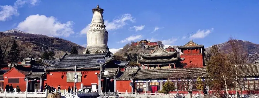 五台山可以带宠物吗示例图